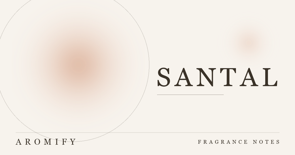 What Is Santal? The Sandalwood Scent Family, Explained