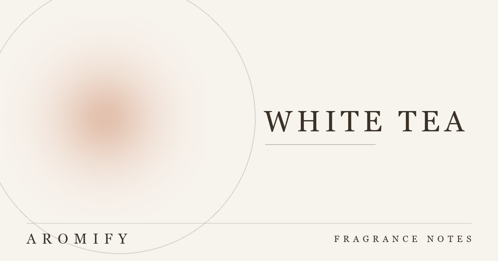 White Tea: the Scent Profile Hotels Built an Era On