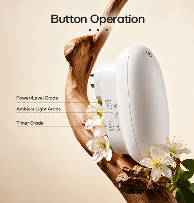 Smart Plug-In II – 75 m², Öle inklusive