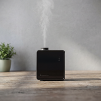 Grand Luxe 4500 Sq ft.