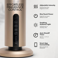 Breeze Wireless Starter Kit | Gold